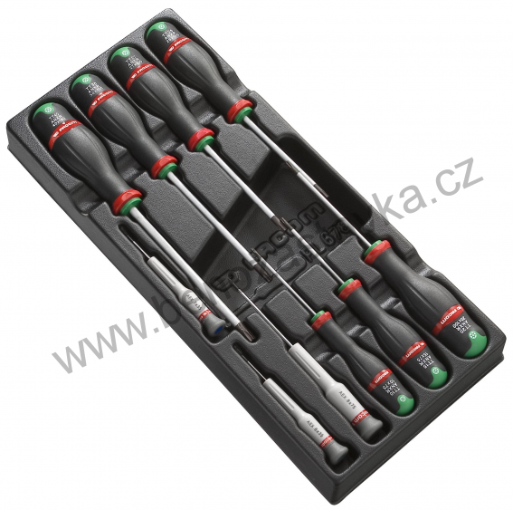 Modul s 10 šroubováky RESISTORX®  