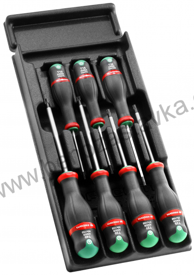 Modul se 7 šroubováky RESISTORX®