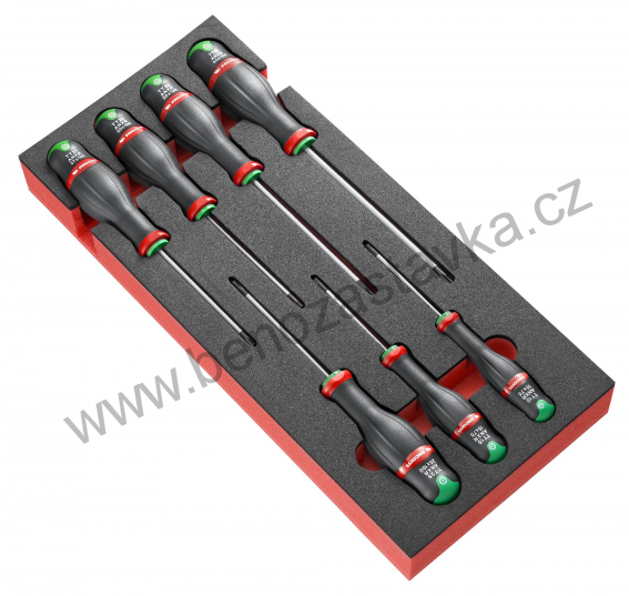 Modul se 7 šroubováky RESISTORX®