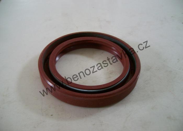 Gufero 30x55x10GP 